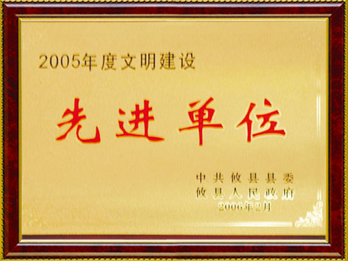 2005  先进单位