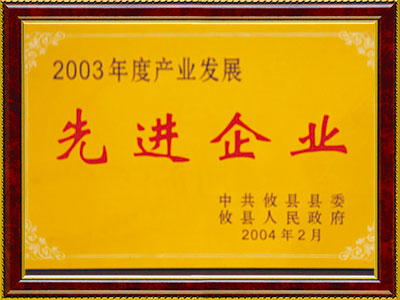 2003  先进企业